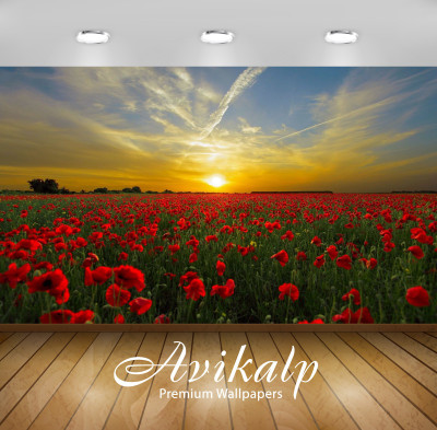 

Avikalp Nature Wallpaper(60.96 cm X 91.44 cm)