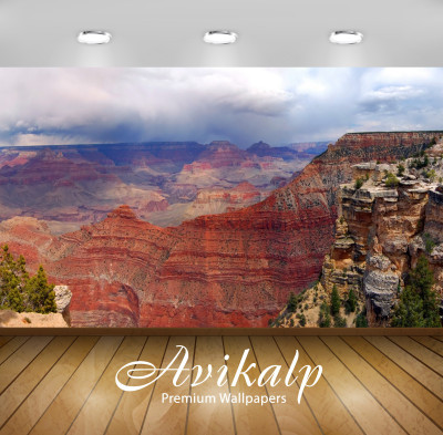 

Avikalp Nature Wallpaper(60.96 cm X 91.44 cm)
