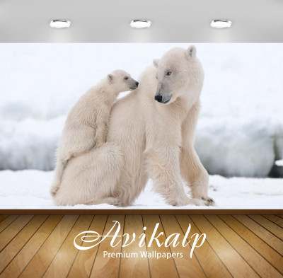 

Avikalp Nature Wallpaper(60.96 cm X 91.44 cm)