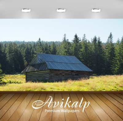 

Avikalp Nature Wallpaper(60.96 cm X 91.44 cm)