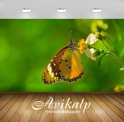 

Avikalp Nature Wallpaper(60.96 cm X 91.44 cm)