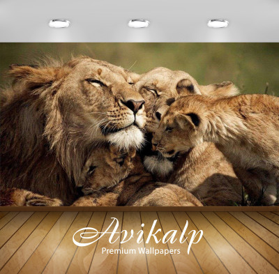 

Avikalp Nature Wallpaper(60.96 cm X 91.44 cm)