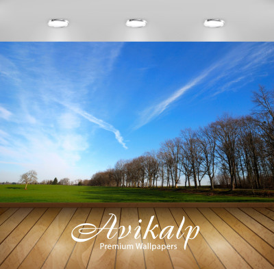 

Avikalp Nature Wallpaper(60.96 cm X 91.44 cm)