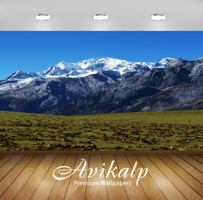 

Avikalp Nature Wallpaper(60.96 cm X 91.44 cm)