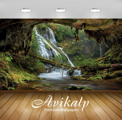 

Avikalp Nature Wallpaper(60.96 cm X 91.44 cm)