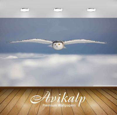 

Avikalp Nature Wallpaper(60.96 cm X 91.44 cm)