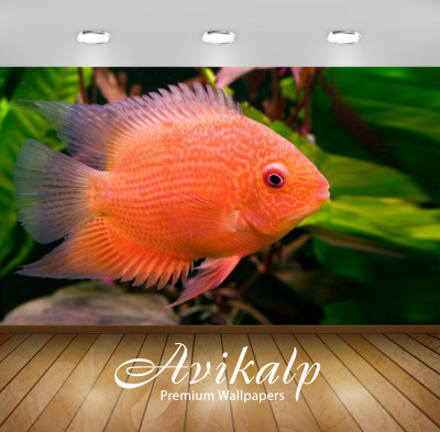 

Avikalp Nature Wallpaper(60.96 cm X 91.44 cm)