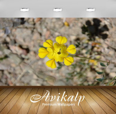 Avikalp Nature Wallpaper(60.96 cm X 91.44 cm)