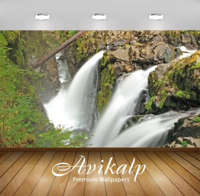 

Avikalp Nature Wallpaper(60.96 cm X 91.44 cm)