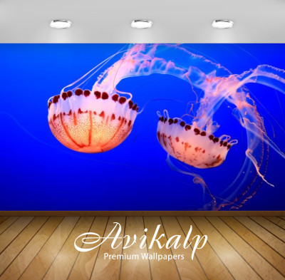 

Avikalp Nature Wallpaper(60.96 cm X 91.44 cm)