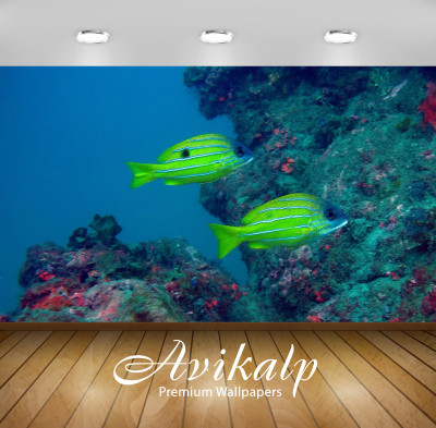 

Avikalp Nature Wallpaper(60.96 cm X 91.44 cm)