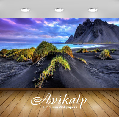 

Avikalp Nature Wallpaper(60.96 cm X 91.44 cm)
