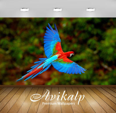

Avikalp Nature Wallpaper(60.96 cm X 91.44 cm)