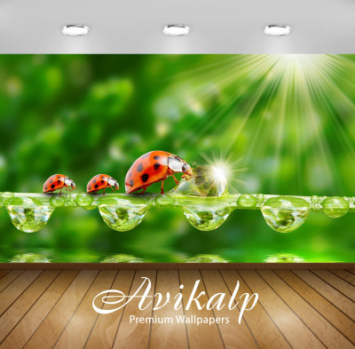 

Avikalp Nature Wallpaper(60.96 cm X 91.44 cm)