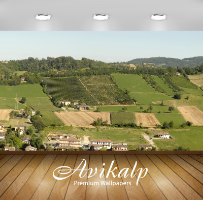 

Avikalp Nature Wallpaper(60.96 cm X 91.44 cm)