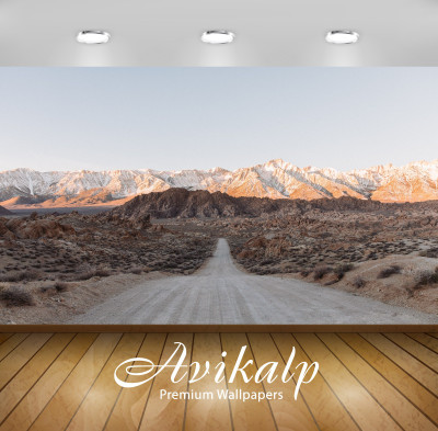 

Avikalp Nature Wallpaper(60.96 cm X 91.44 cm)