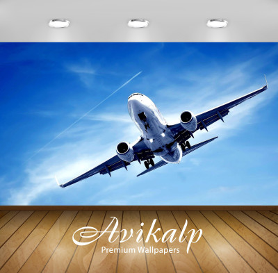 

Avikalp Nature Wallpaper(60.96 cm X 91.44 cm)