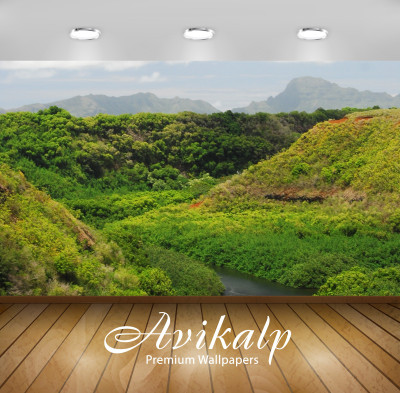 Avikalp Nature Wallpaper(60.96 cm X 91.44 cm)