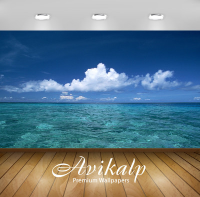 

Avikalp Nature Wallpaper(60.96 cm X 91.44 cm)