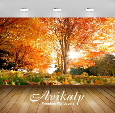 

Avikalp Nature Wallpaper(60.96 cm X 91.44 cm)