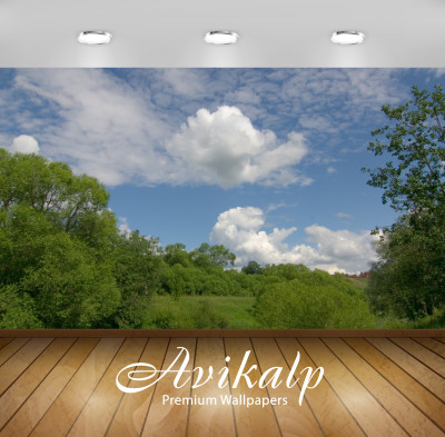 

Avikalp Nature Wallpaper(60.96 cm X 91.44 cm)