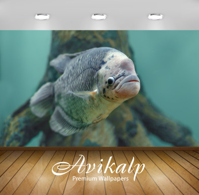 

Avikalp Nature Wallpaper(60.96 cm X 91.44 cm)