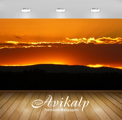 

Avikalp Nature Wallpaper(60.96 cm X 91.44 cm)