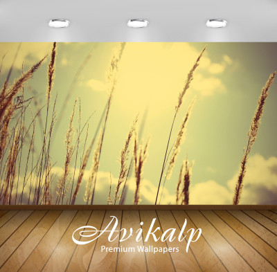 

Avikalp Nature Wallpaper(60.96 cm X 91.44 cm)