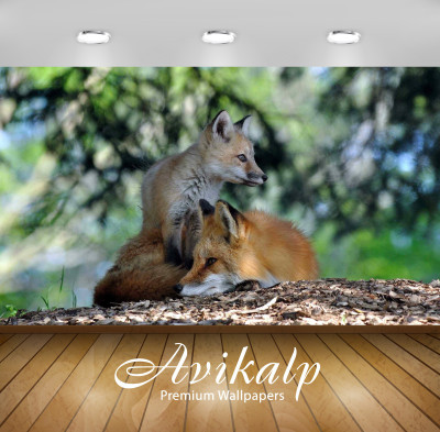 

Avikalp Animals Wallpaper(60.96 cm X 91.44 cm)