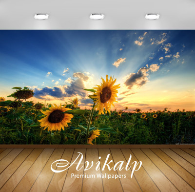 

Avikalp Nature Wallpaper(60.96 cm X 91.44 cm)
