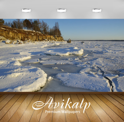 

Avikalp Nature Wallpaper(60.96 cm X 91.44 cm)