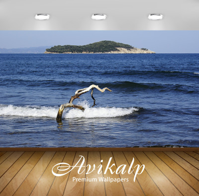 

Avikalp Nature Wallpaper(60.96 cm X 91.44 cm)