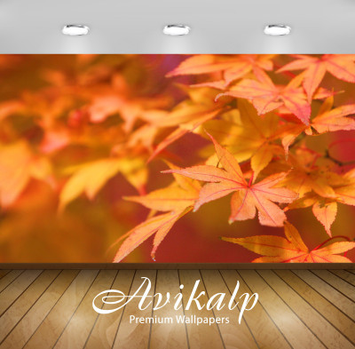 

Avikalp Nature Wallpaper(60.96 cm X 91.44 cm)