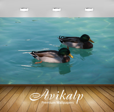 

Avikalp Nature Wallpaper(60.96 cm X 91.44 cm)