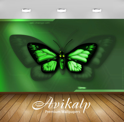 

Avikalp Art & Paintings Wallpaper(60.96 cm X 91.44 cm)