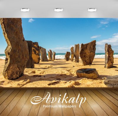 

Avikalp Nature Wallpaper(60.96 cm X 91.44 cm)