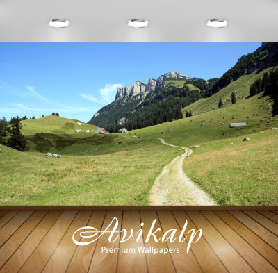 

Avikalp Nature Wallpaper(60.96 cm X 91.44 cm)