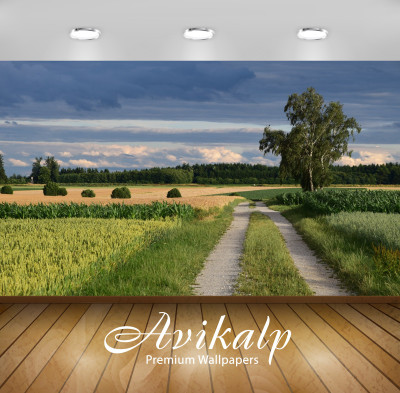 

Avikalp Nature Wallpaper(60.96 cm X 91.44 cm)