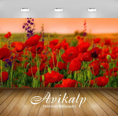 Avikalp Nature Wallpaper(60.96 cm X 91.44 cm)