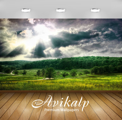 

Avikalp Nature Wallpaper(60.96 cm X 91.44 cm)