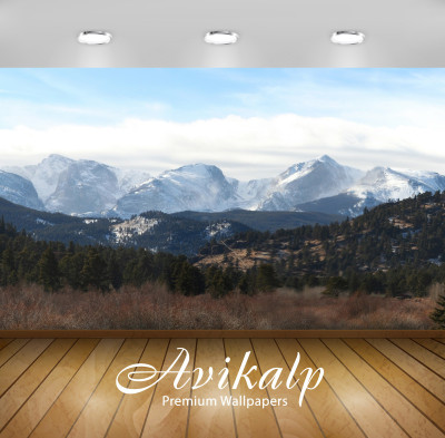 

Avikalp Nature Wallpaper(60.96 cm X 91.44 cm)