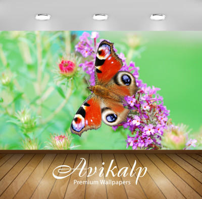 

Avikalp Nature Wallpaper(60.96 cm X 91.44 cm)