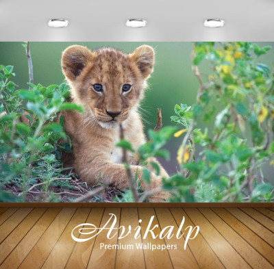 

Avikalp Nature Wallpaper(60.96 cm X 91.44 cm)