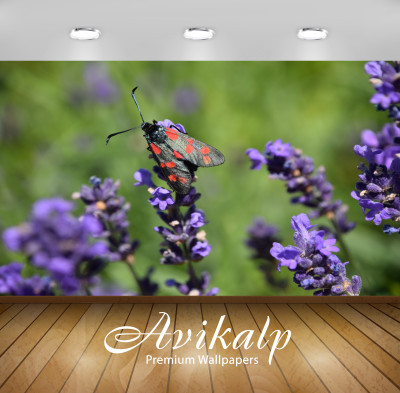

Avikalp Nature Wallpaper(60.96 cm X 91.44 cm)