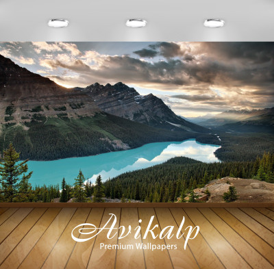 

Avikalp Nature Wallpaper(60.96 cm X 91.44 cm)