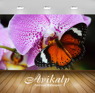 

Avikalp Nature Wallpaper(60.96 cm X 91.44 cm)