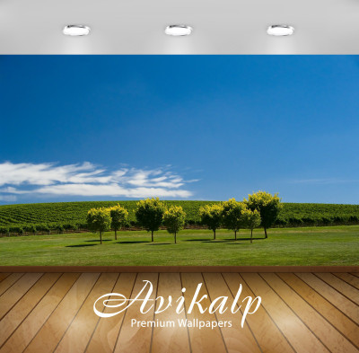 

Avikalp Nature Wallpaper(60.96 cm X 91.44 cm)