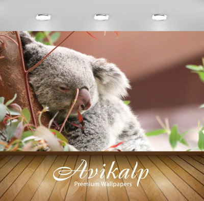 

Avikalp Nature Wallpaper(60.96 cm X 91.44 cm)
