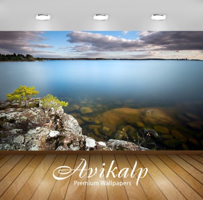 

Avikalp Nature Wallpaper(60.96 cm X 91.44 cm)