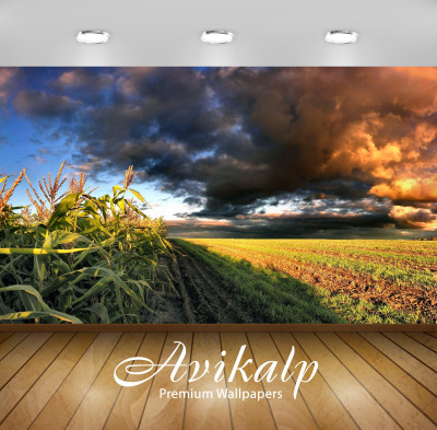 

Avikalp Nature Wallpaper(60.96 cm X 91.44 cm)